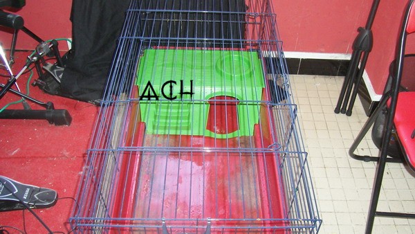 [59] Diverses cages à vendre->OCCASIONS A SAISIR!!! Sl554069