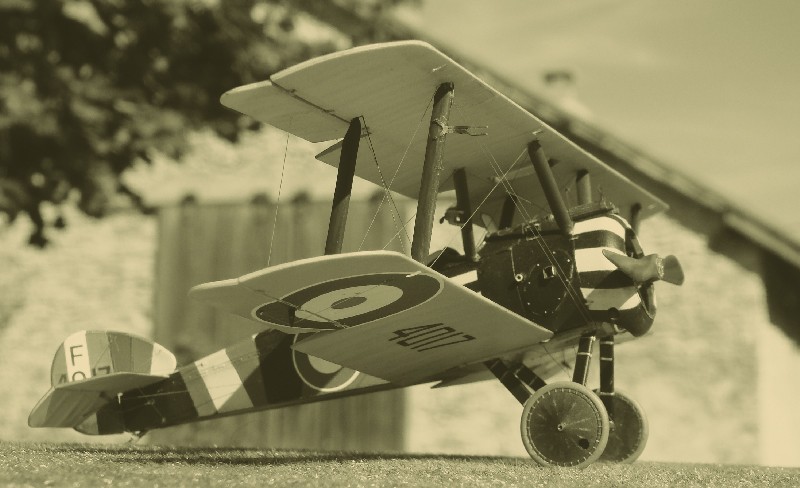 Sopwith Camel - [Eduard] 1/48 - Page 3 002_co10