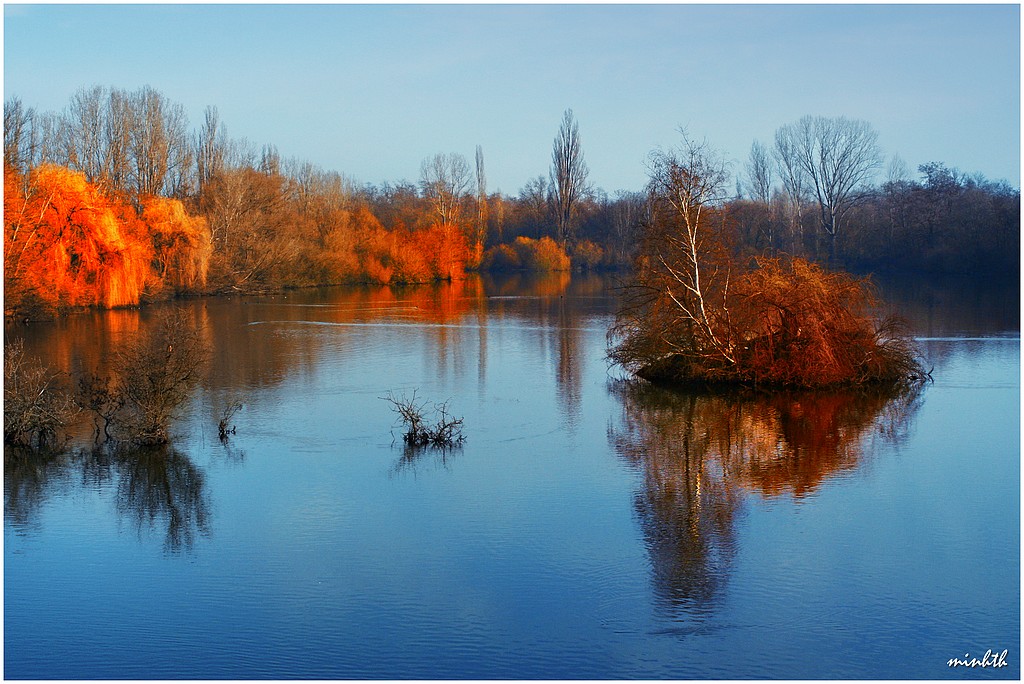 L'automne à l'étang  Img_5210