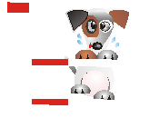 Jack Agility Jack Agility
