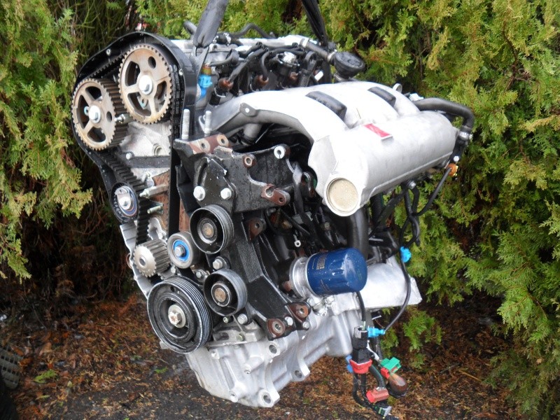 306 2l16 BV6 de RaceR - Page 4 Sam_0824