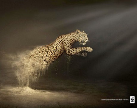  WWF transforme les animaux en poussière ... La-cam12