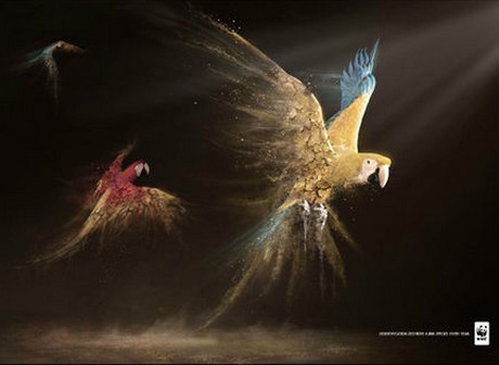 WWF transforme les animaux en poussière ... La-cam13