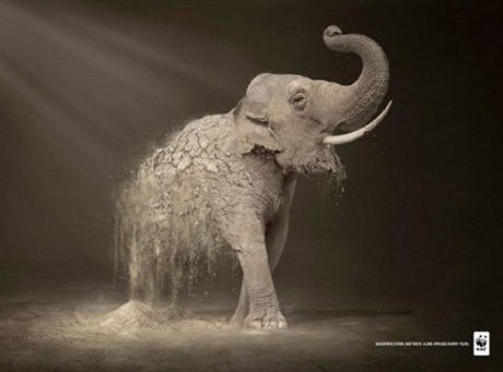  WWF transforme les animaux en poussière ... Wwf-tr11