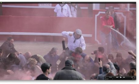 (Fr) Des militants pacifistes tabassés par des pro corridas Choqua14