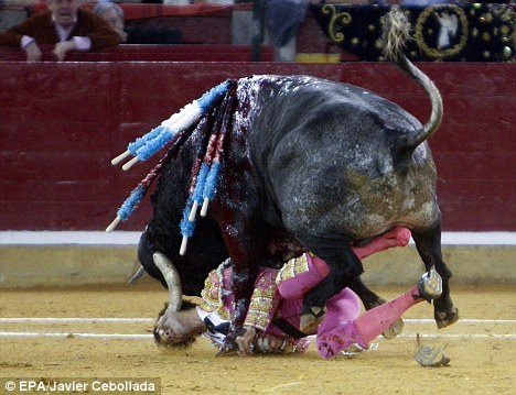 Un matador paralysé de la moitié de son visage! Corne10