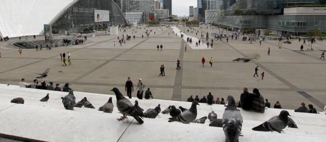 Autriche/Linz glisse:Trop de pigeons ? Donnez-leur la pilule Trotpi10