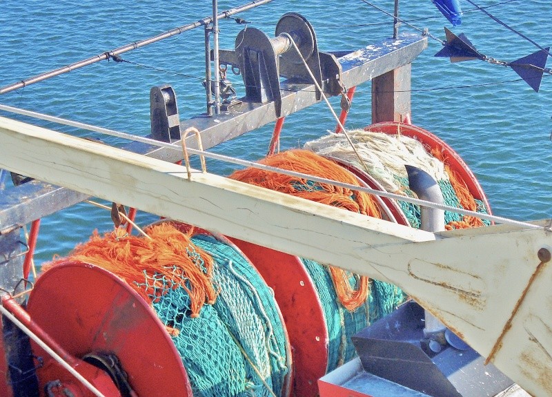 Paré pour la pêche (port de Dinard) Filet10