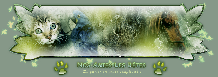 Forum Animalier - Nos Amies Les Bêtes