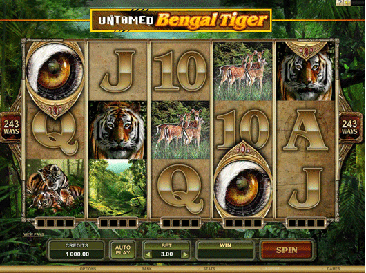 Casino rewards launches video slot : Bengal Tiger Bengal11