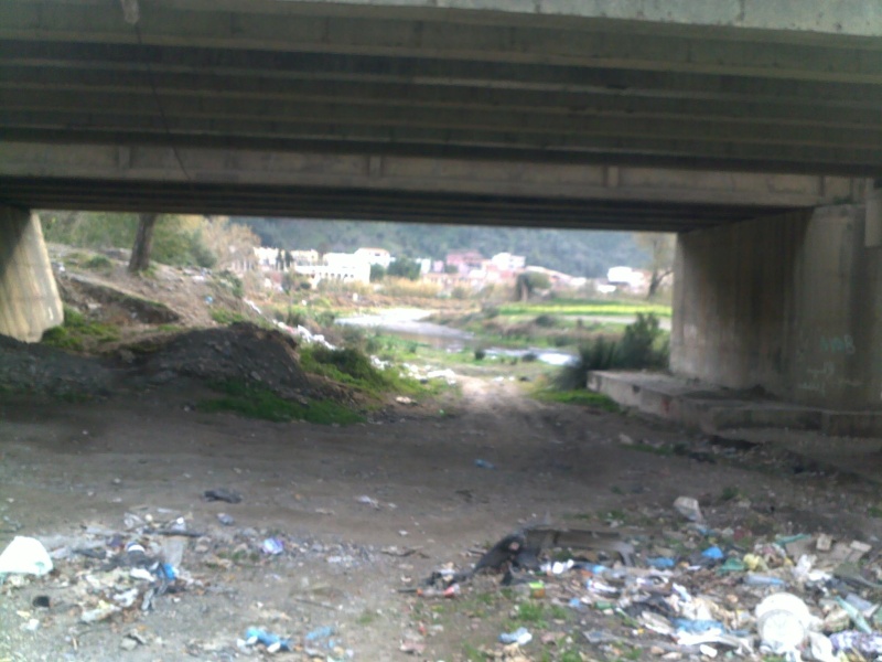 Décharge sauvage se forme sous le pont de Tala Khaled, Aokas 28012030