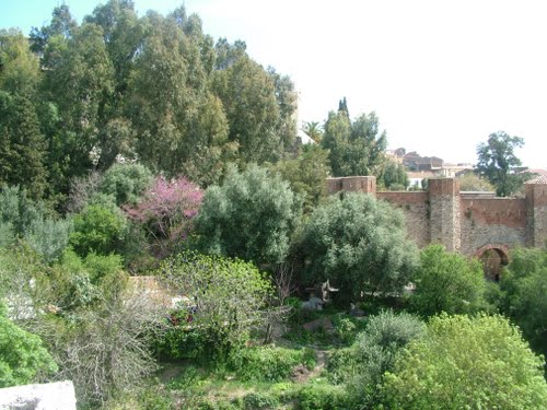 Bejaia, Bab El Fouka ou l'une des portes de la ville encore debout _une_d10