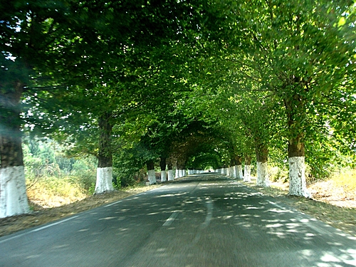 Tunnel - El Kseur Tunnel10