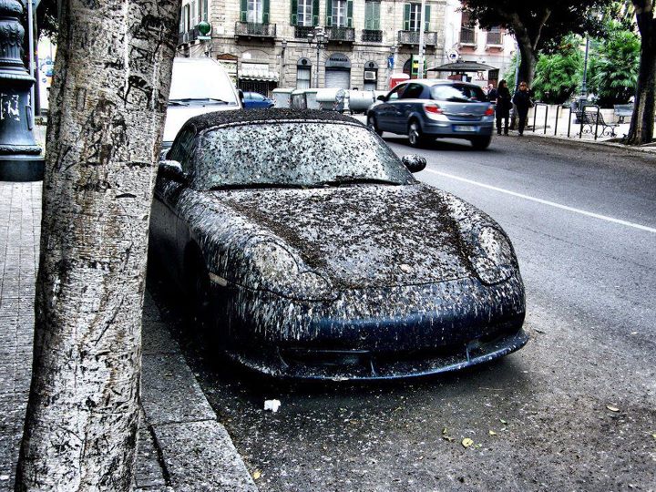 Pas Envie De Poncer Votre Voiture Avant De La Repeindre