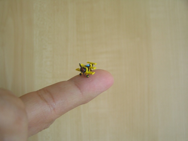 Sortez votre microscope : Starr Bumblebee 1/200 P7120012