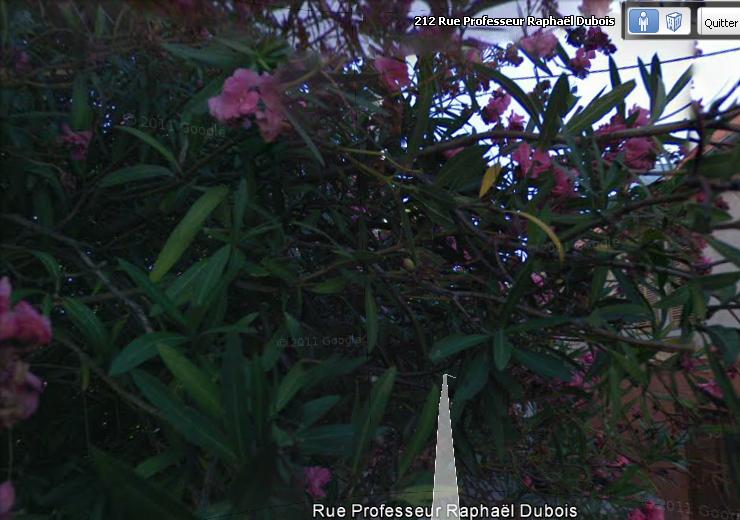 Objet ou anomalie google earth - Page 3 Laurie17