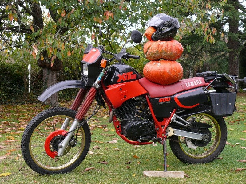 Le concours de novembre 2011: : Votre moto et l'orange. P1060413