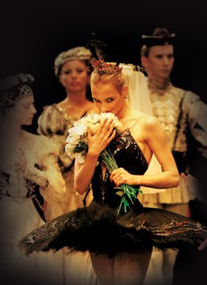 Le ballet, la danse classique Swan_l11