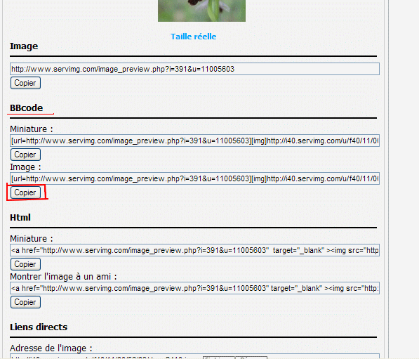 Inserrer une image avec Servimg.com Bbcode10
