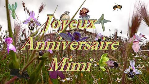 Bon Anniversaire Mimi Petite Souris Bon Anniversaire Mimi Petite Souris