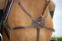 Vend collier de chasse Poney Dy'on Collie10