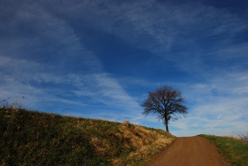 Au bout du chemin 08-03_19