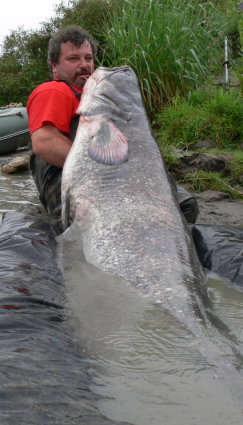 Pêche 100% sauvage sur le grand Rhône, 212cm_12