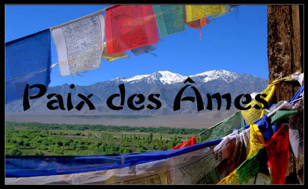 Solidarit avec le Tibet Paix2011