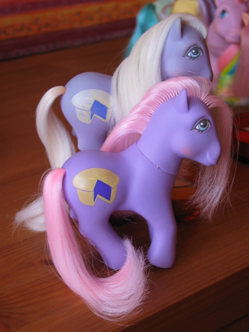 Les poneys de Lisa - Page 3 Photop12