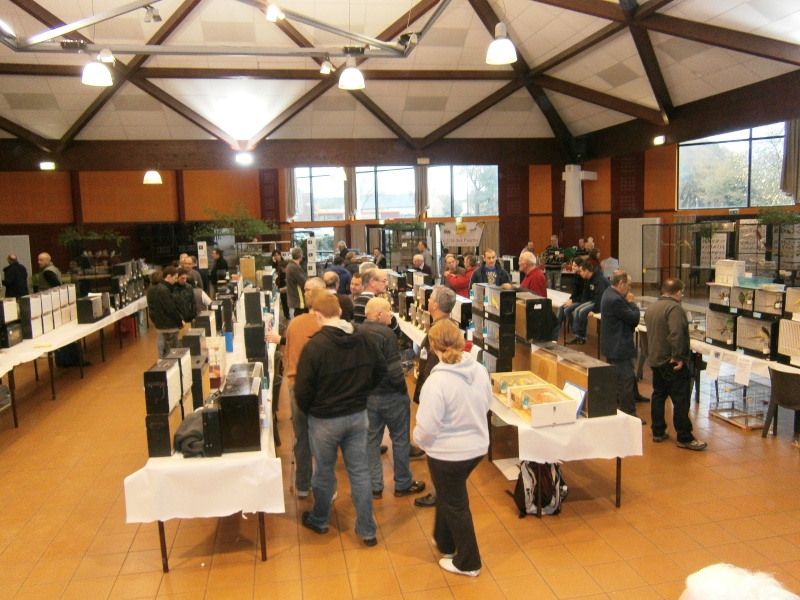 Exposition-Bourse à Plouay le 04/12/2011 organisé par l'Oiseau Club Lorientais 56240 - Page 2 Expo_o18