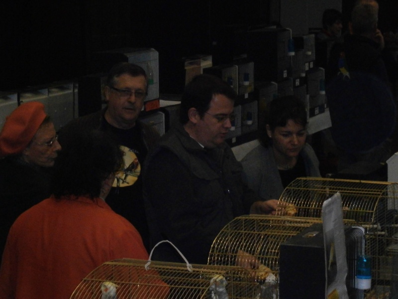 Exposition-Bourse à Plouay le 04/12/2011 organisé par l'Oiseau Club Lorientais 56240 - Page 2 Expo_o19