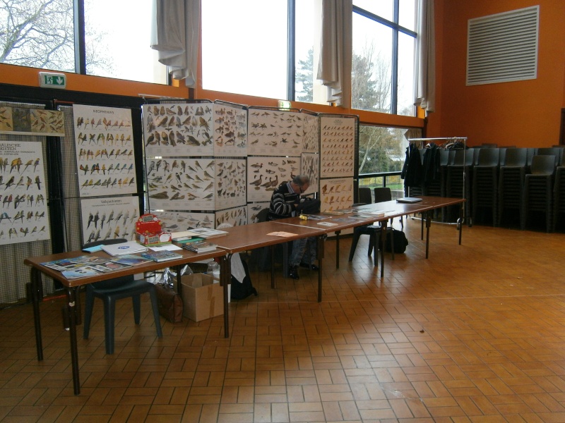 Exposition-Bourse à Plouay le 04/12/2011 organisé par l'Oiseau Club Lorientais 56240 - Page 2 Expo_o21