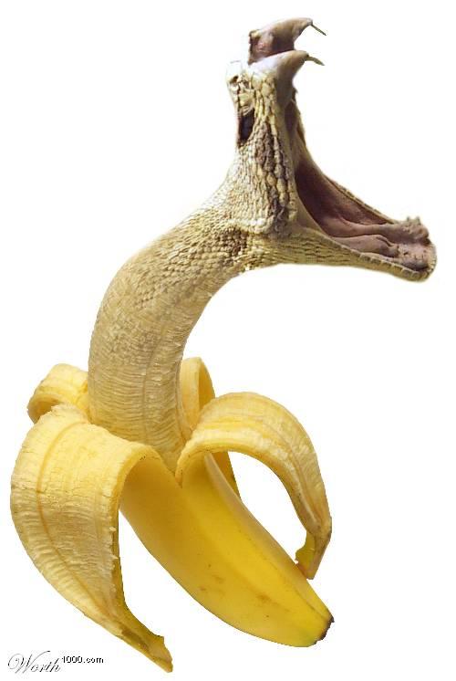 SHOW UR PETS... Banana10