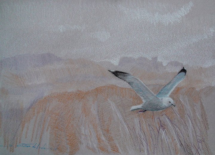 Dessin crayon de cire Gull11