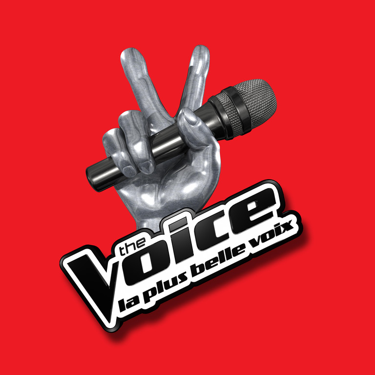 The Voice, le nouveau télé-crochet de TF1 The-vo10