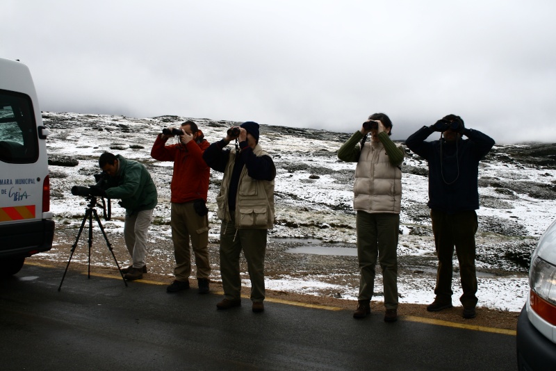 Observação de aves na neve Img_5012
