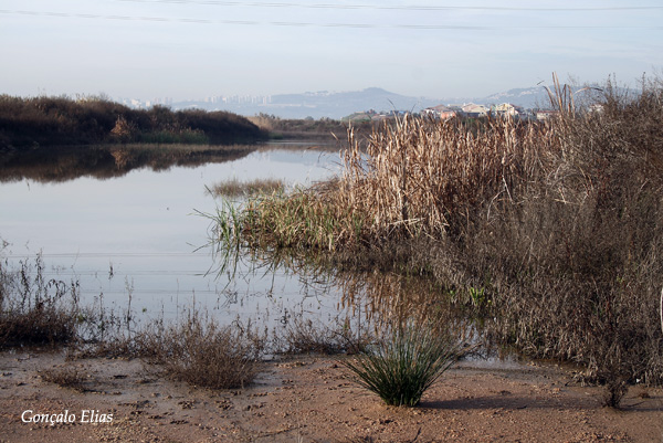 LOCAL: Paul da Granja (Vila Franca de Xira) Paulgr11