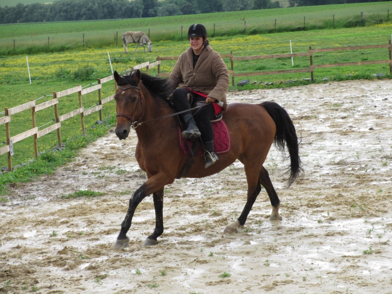 mes premiers cours d'amazone avec Pascaline et Fax! Img_1914