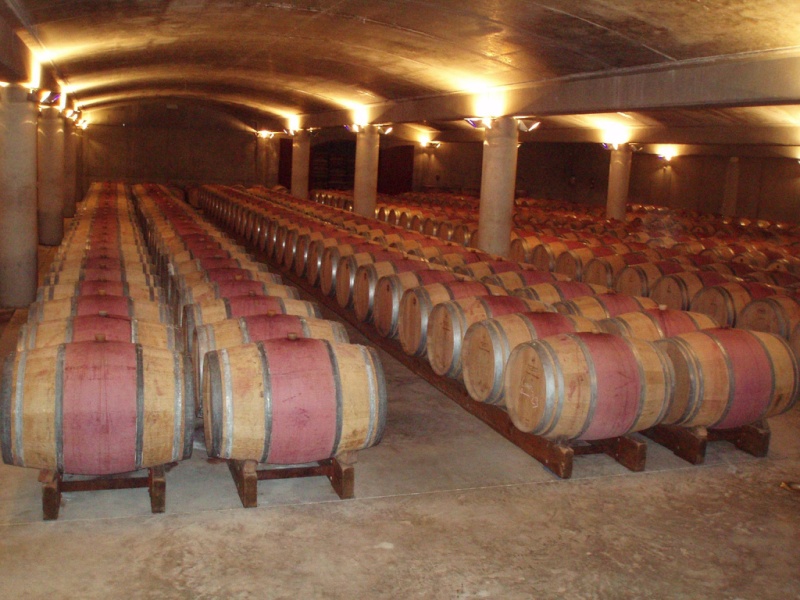 Le vignoble du Pessac Leognan - Page 3 Barriq10