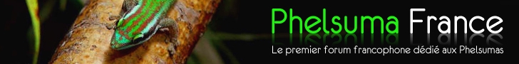 forum de phelsuma Banner10