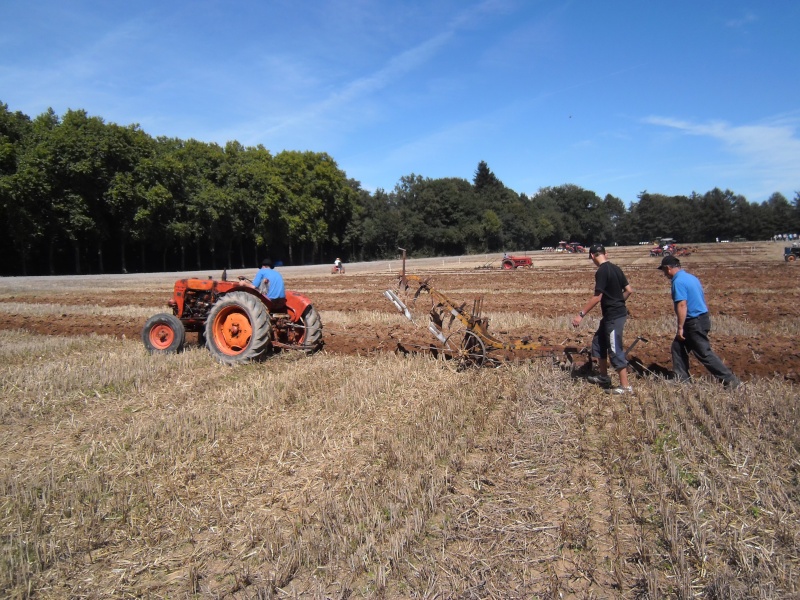 Concours de labour en Limousin P8130139