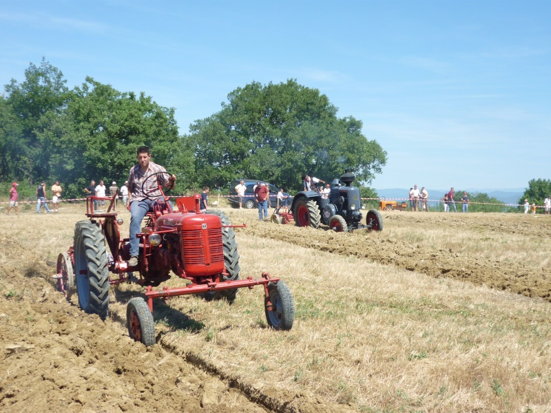 FETE de l'Agriculture à St THEODORIT (Gard) 25/25 JUIN St_the58