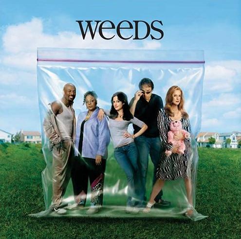 WEEDS en castellano Temporadas 1 y 2 - 1link/capitulo Weeds-11