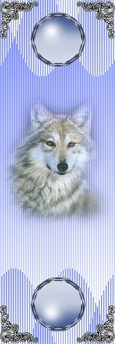 Marque-page Paint.Net 1ers pas Marque12