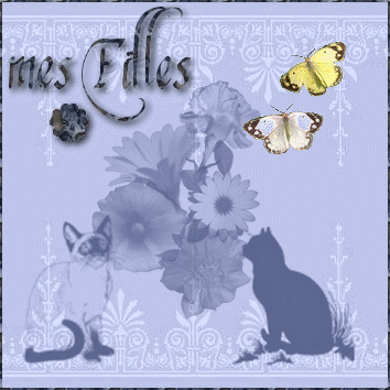 Gif animé sur image Mes_fi10