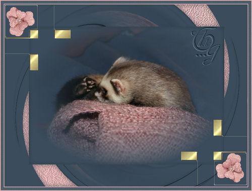 Cadres avec Photo Filtre (tags) Yasmin25