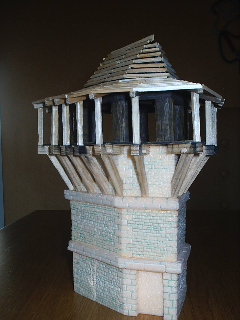 Une tour bretonnienne en cours de construction Pic_0683