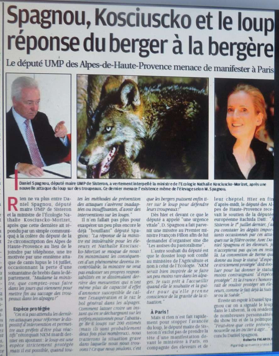 LA FAUNE ANIMALE MEDITERRANEENNE - Page 7 P1200527