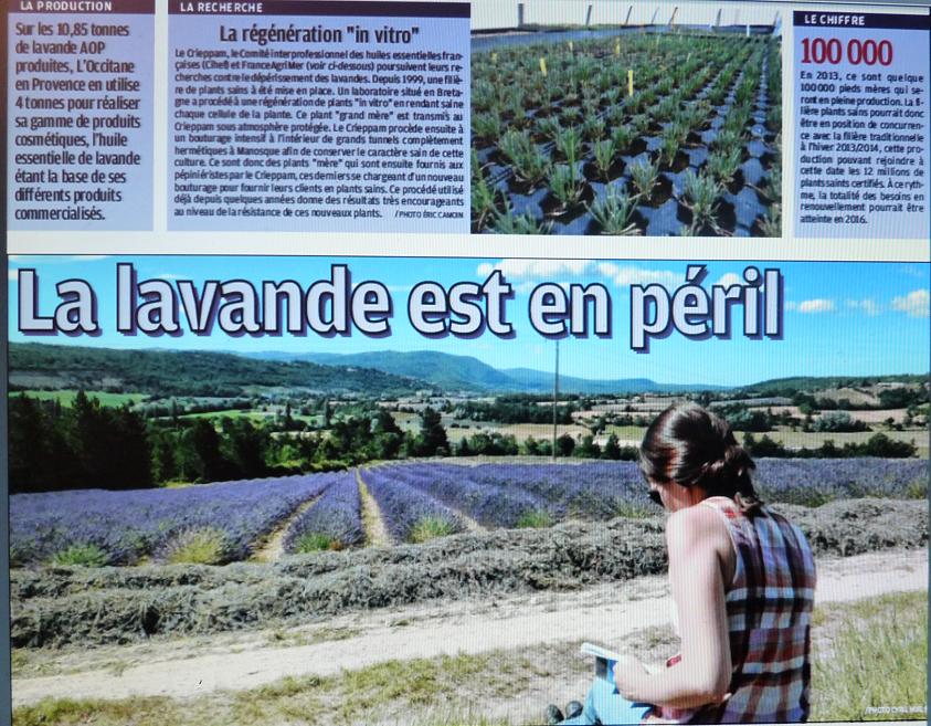 IL ETAIT UNE FOIS ..VALENSOLE - Page 3 P1280931