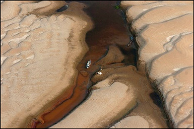 Le fleuve Amazone frappé par la pire sécheresse (2005) Amazon14